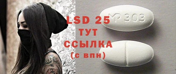 прущие грибы Баксан