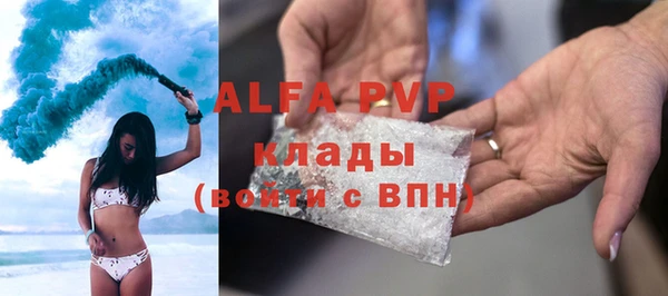 прущие грибы Баксан