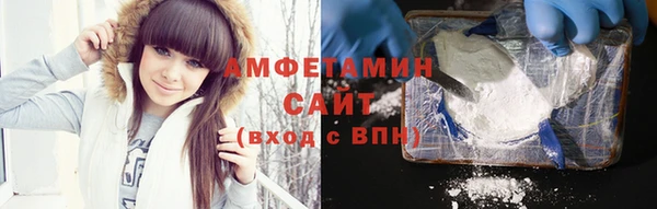 прущие грибы Баксан