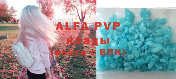 прущие грибы Баксан