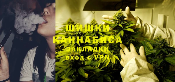 прущие грибы Баксан
