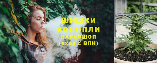 прущие грибы Баксан