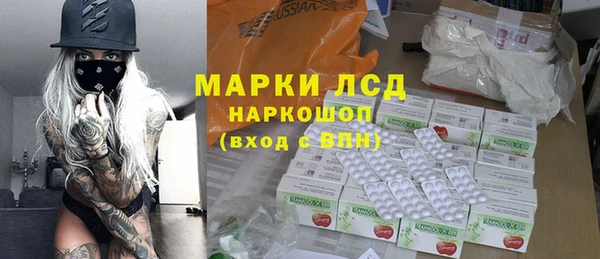 прущие грибы Баксан