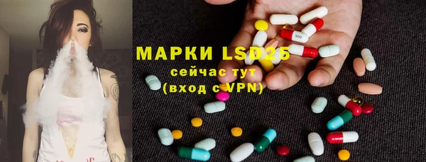 прущие грибы Баксан