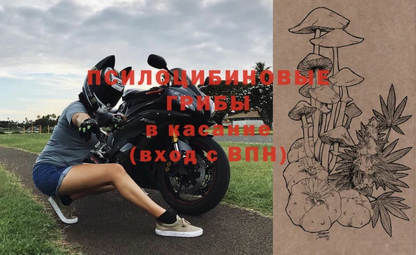 ПСИЛОЦИБИНОВЫЕ ГРИБЫ Балахна